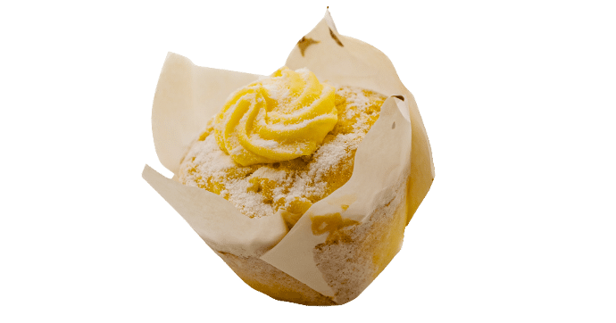 Muffin of the Day