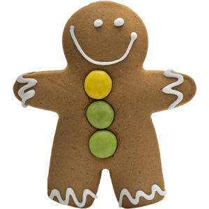 Christmas Ginberbread Cookie