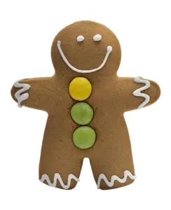Christmas Ginberbread Cookie