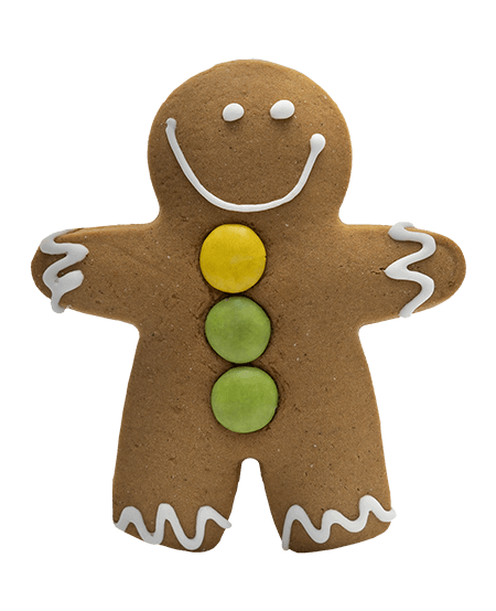 Christmas Ginberbread Cookie